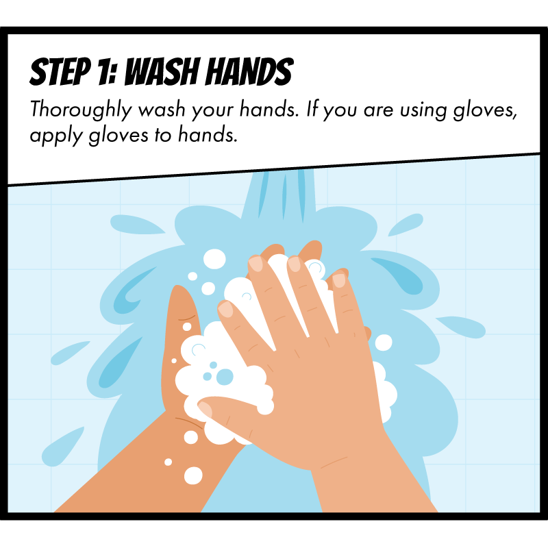 Step One: Wash Hands. Thoroughly wash your hands. If you are using gloves, apply gloves to hands.